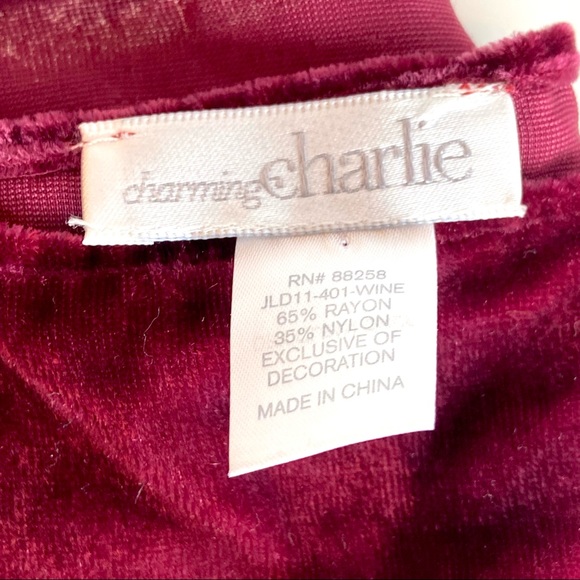 Gorgeous Cranberry Wine Colored Burn Out Scarf with Fringe - Picture 5 of 9